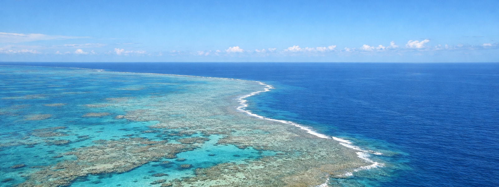 Live Documentary Channel from Australia