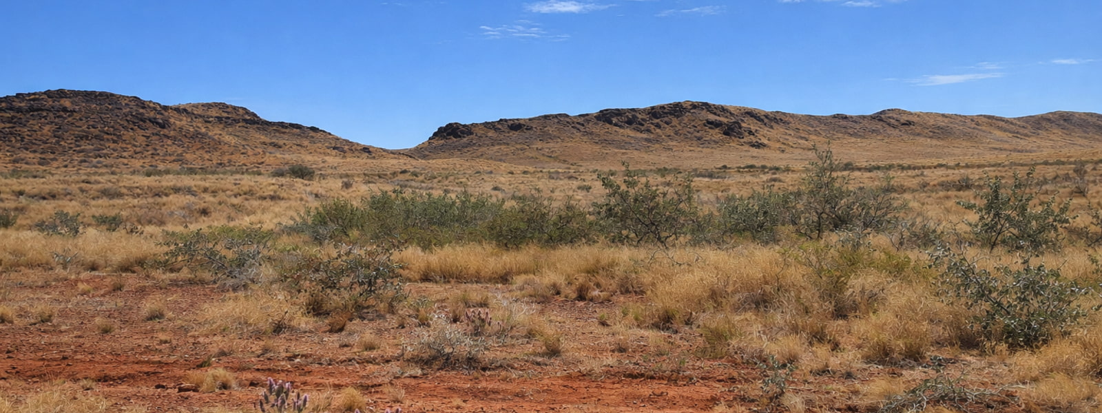 Live Bengali-language TV Channel from Australia