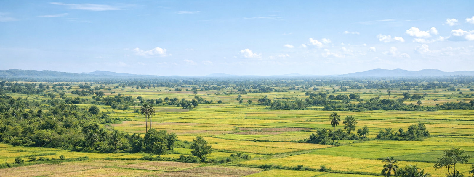Cambodian rural farmland used in agricultural television broadcasting